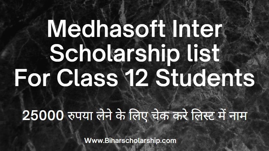 Medhasoft Inter Scholarship list